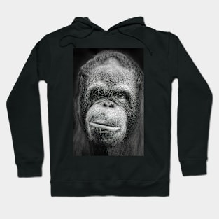 Orang-utan Portrait Hoodie